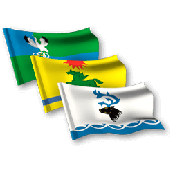 иконка печати флагов областей