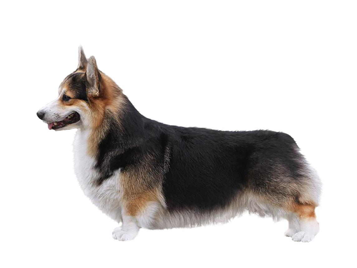 https://images.openai.com/static-rsc-4/c-pb9PWFeCFnmdHG7Dnv0vJrUZ49RgsSC4Fx9b7puBujBRER2925P2BMPQY0Bua79QE5g4_TcpMTexUt80hp56oHQmS5BEu99VNfWYAaAC-ZAbKOcbz9ZFQ_3gjJHpJn7lDdpLGko6lxV0gZH3KtAXsgFjlSXg-TbDwxK8pvinVjuimbEneb8FxCmqe-6Bbv?purpose=fullsize
