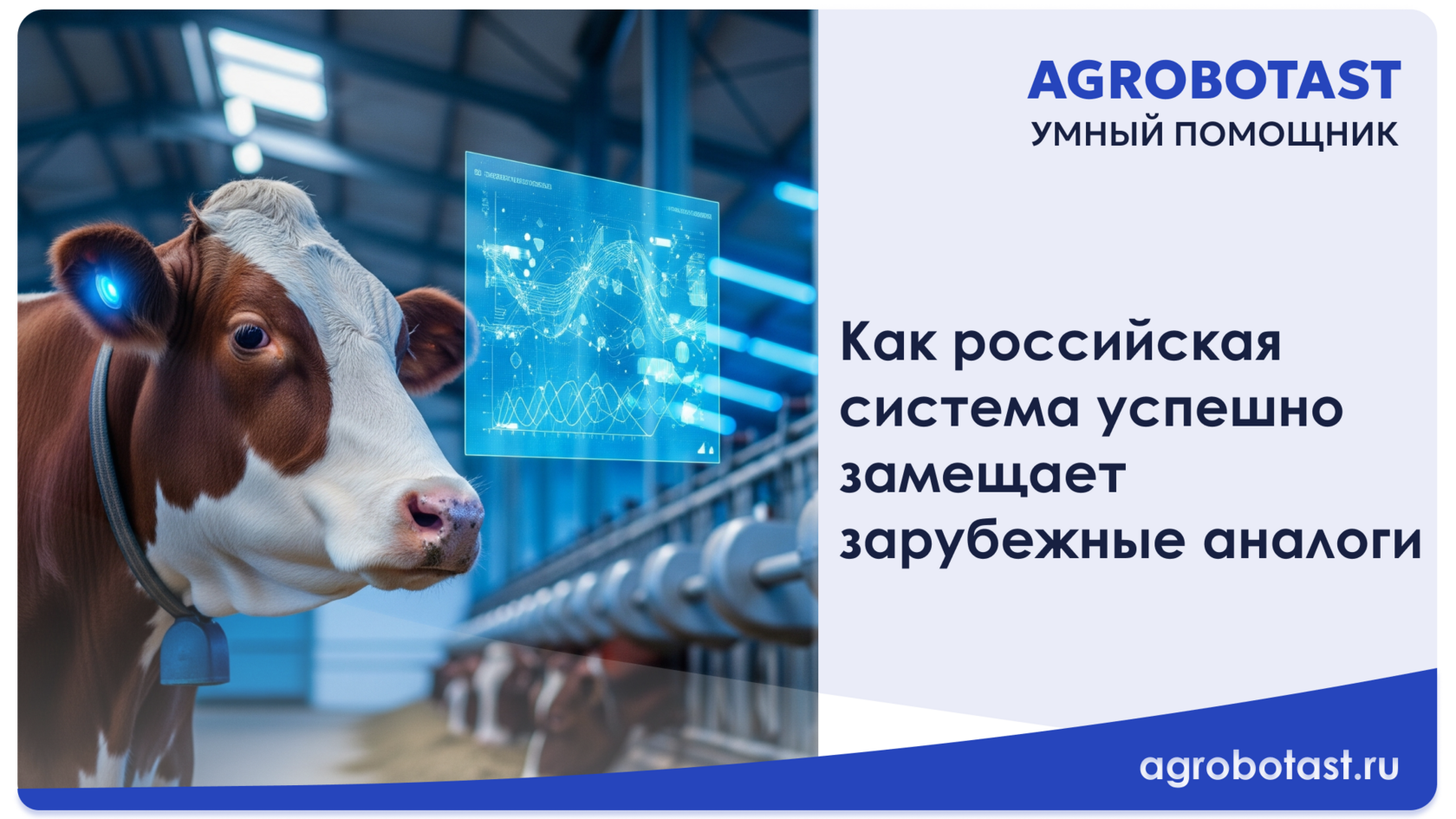 Как российская система успешно замещает зарубежные аналоги