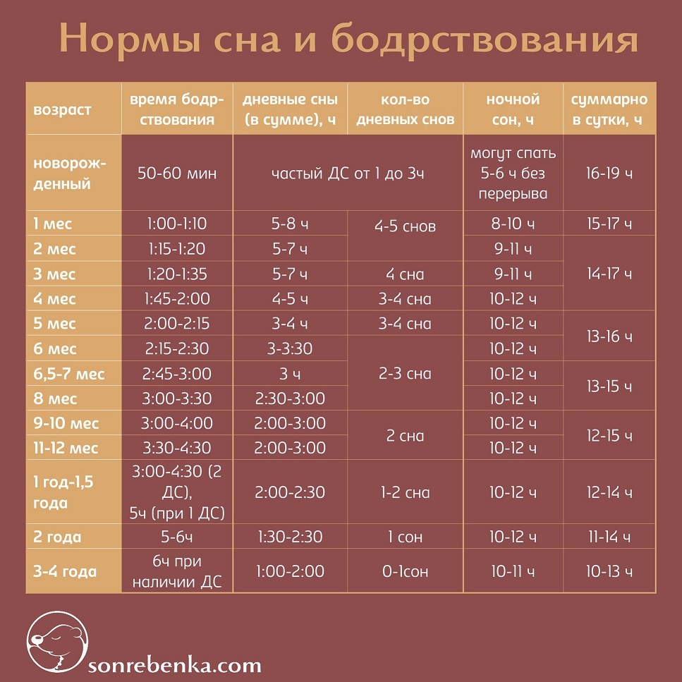 Проект по биологии нормы сна