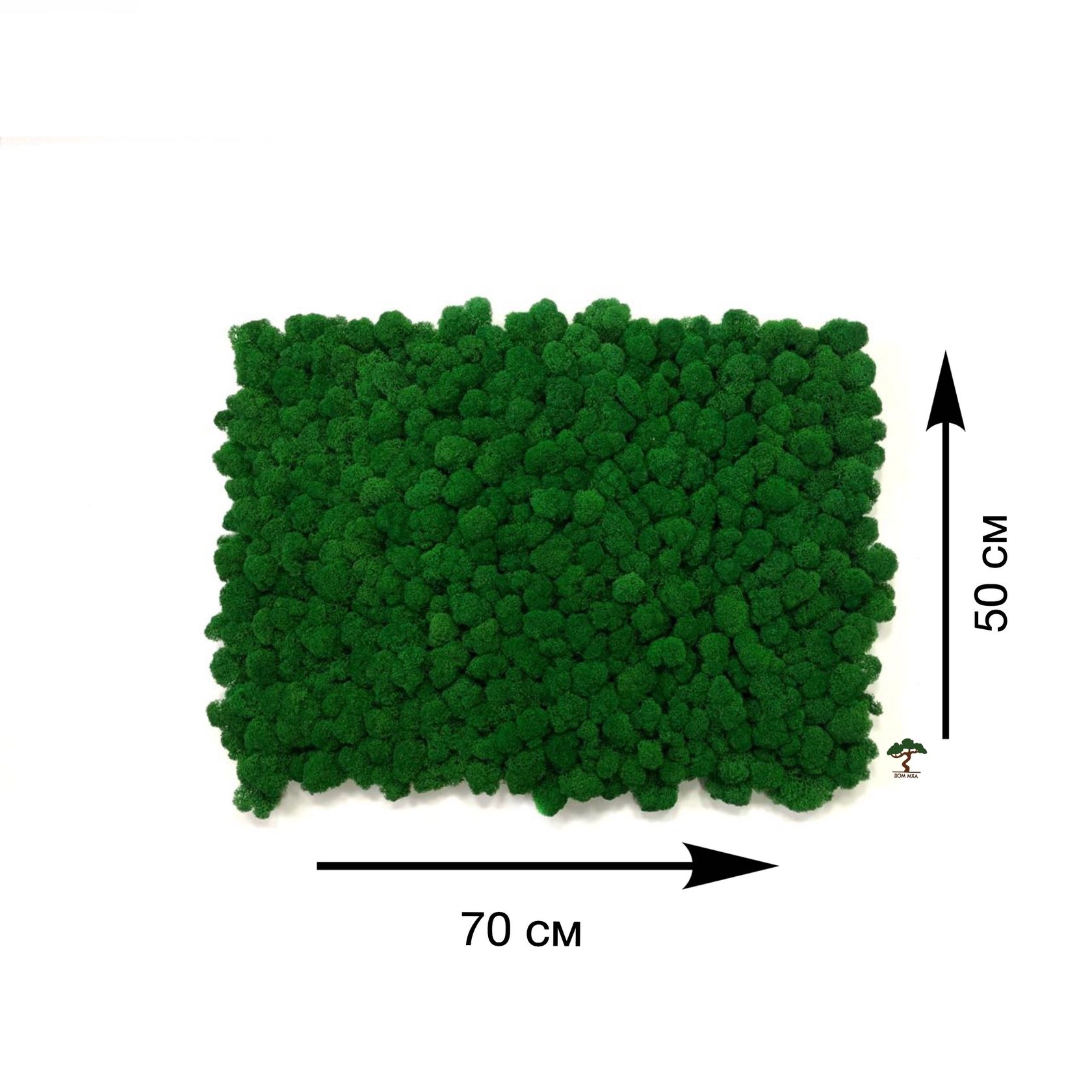 Панель из мха Ягель - Дом мха - Моссарт