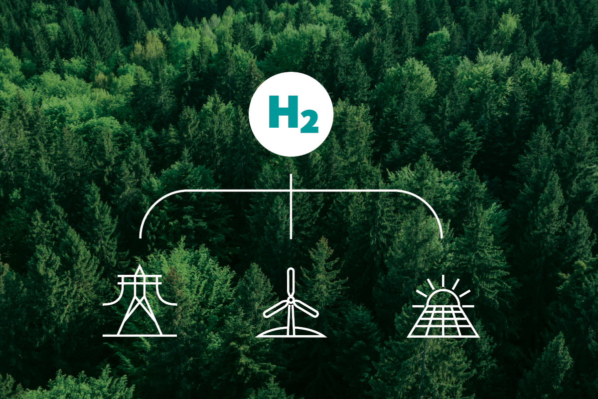 hydrogen grid