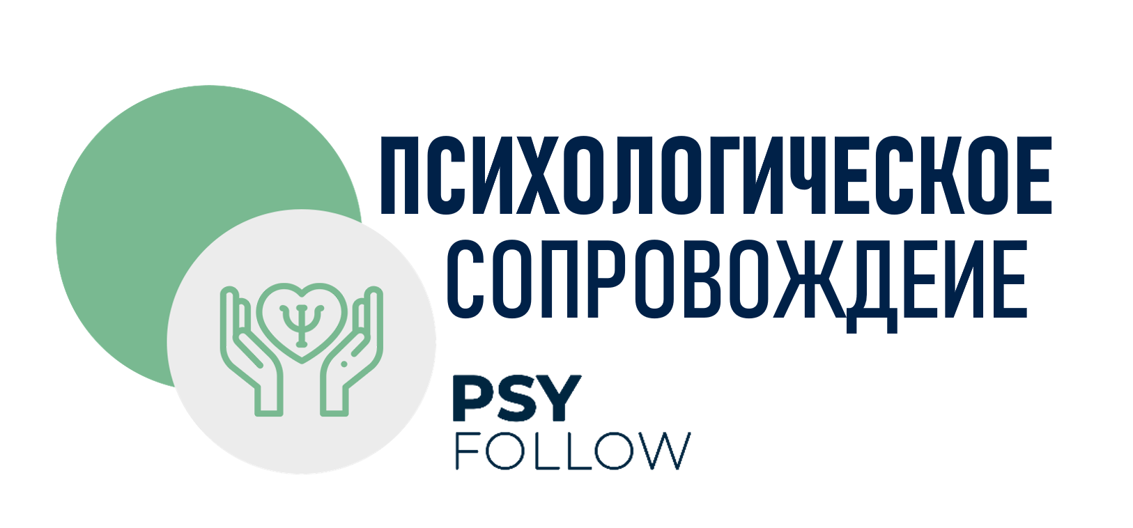 PSY Follow
