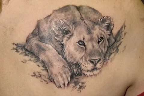 Значение тату с изображением льва