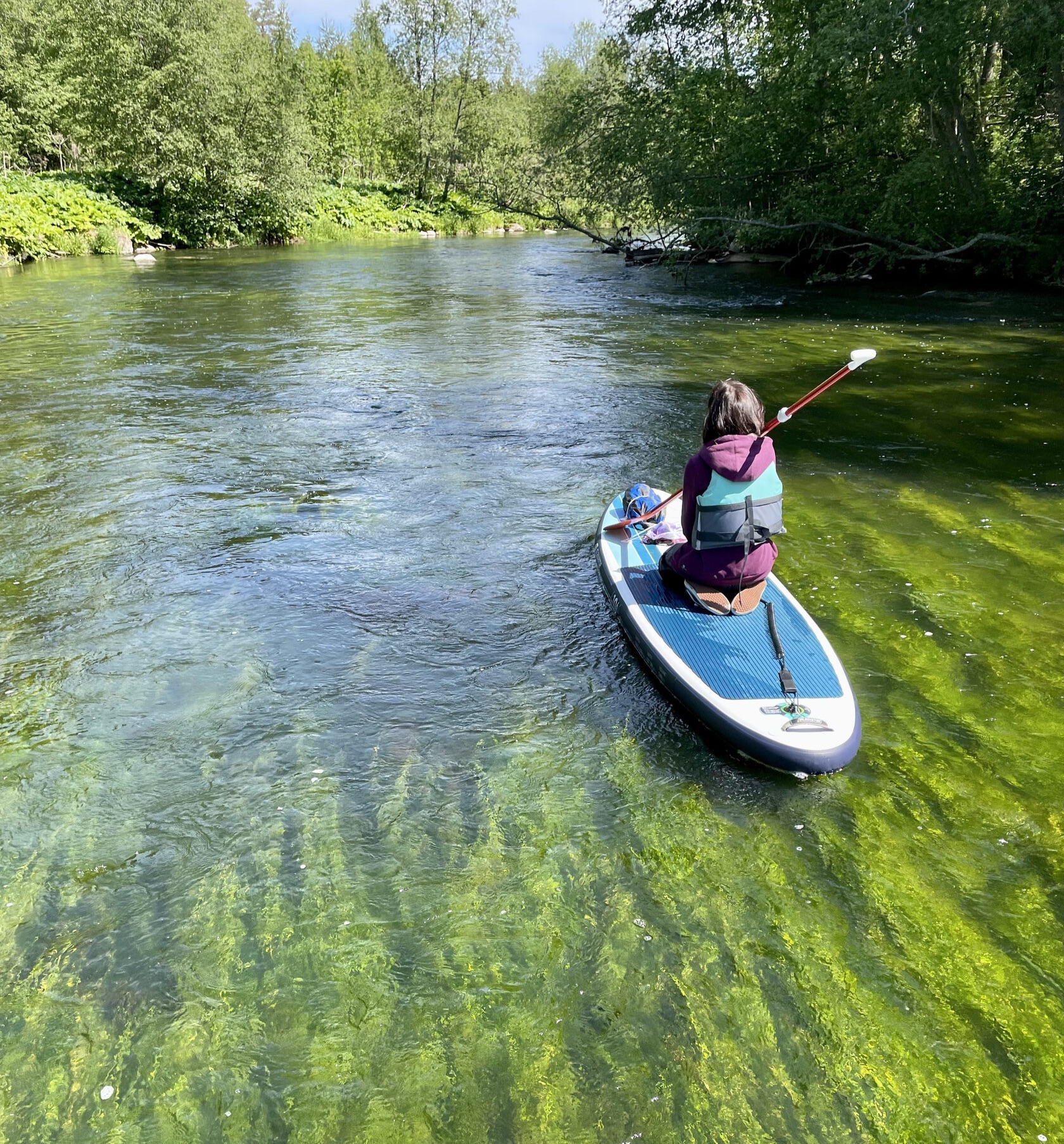 Sup trip. САП серфинг Оредеж. Прогулки на сапах в Подмосковье. Одежда для прогулки на сапе. Фонтанка САП 2023.