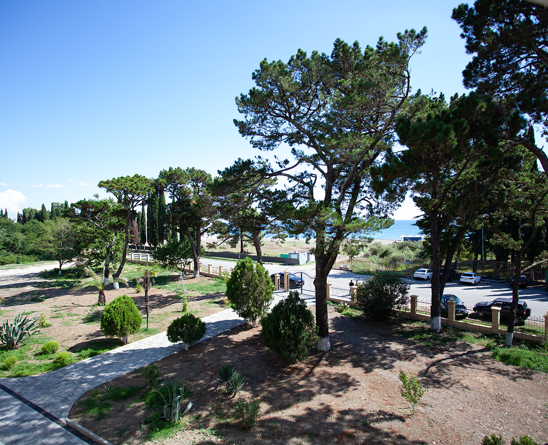 Территория Portoritsa, деревья и море