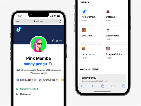 Secure onchain chat and website access via .PENGU