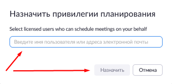 Window for assigning the scheduling privilege by email address