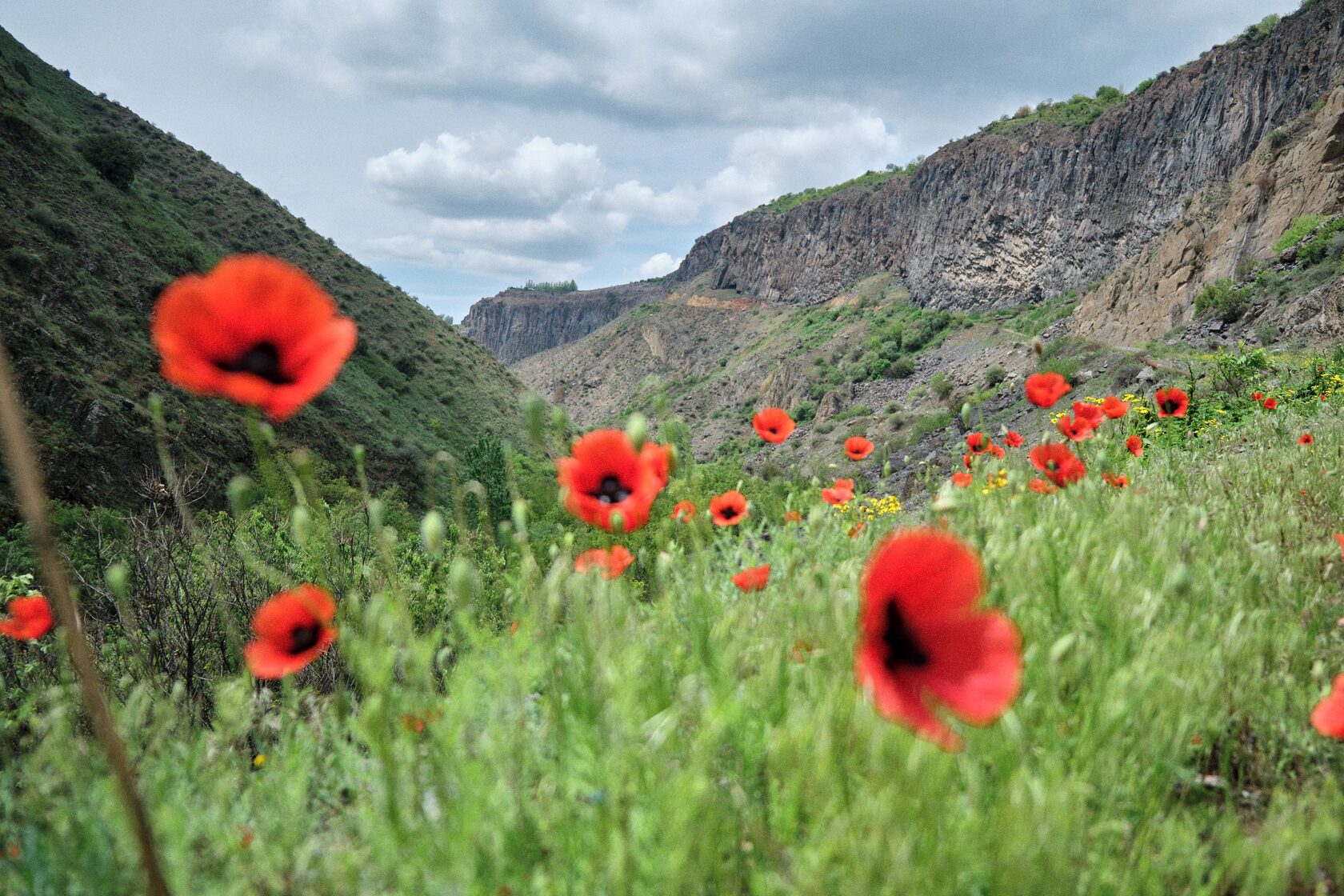 Гарни красноярск