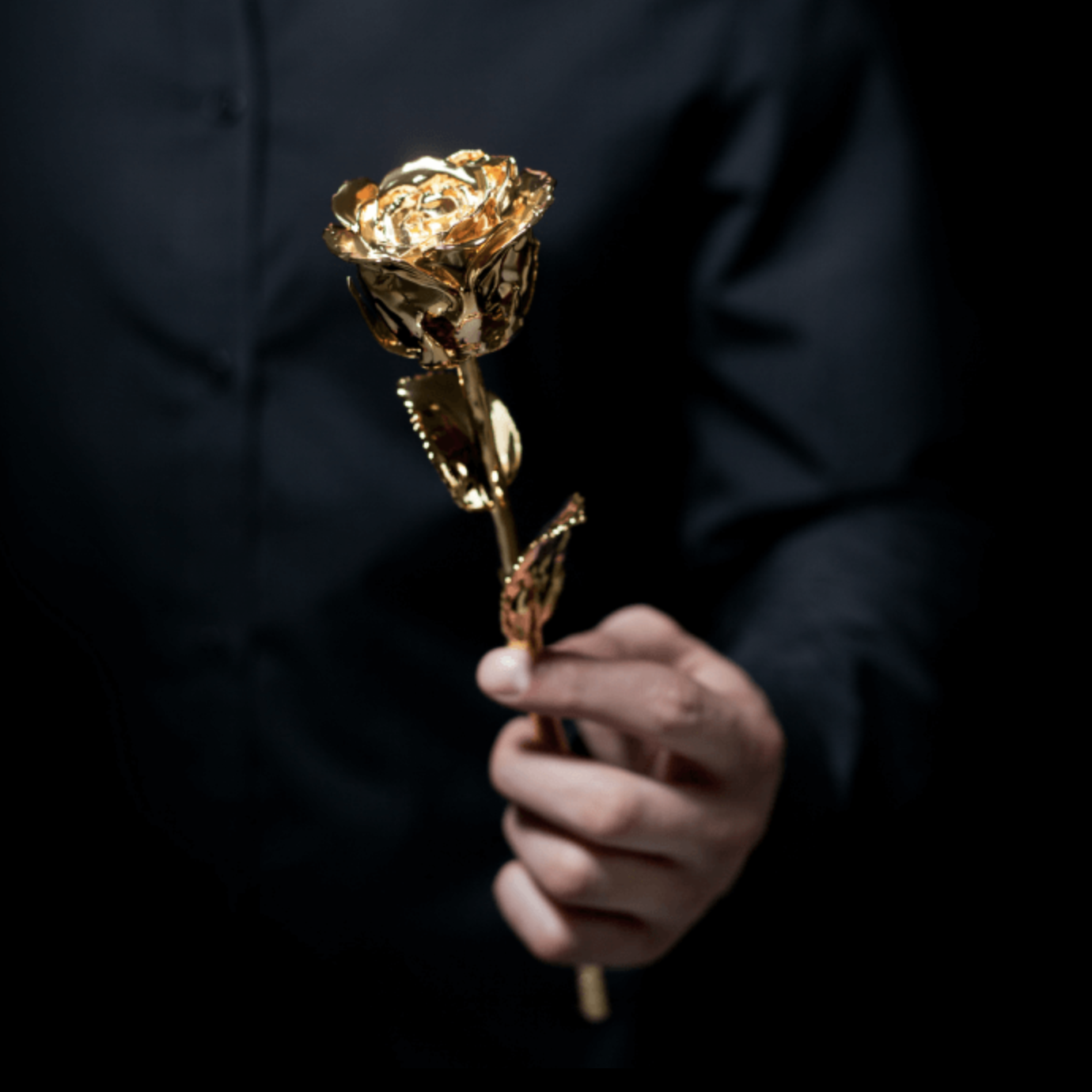 Золотая Роза Купить