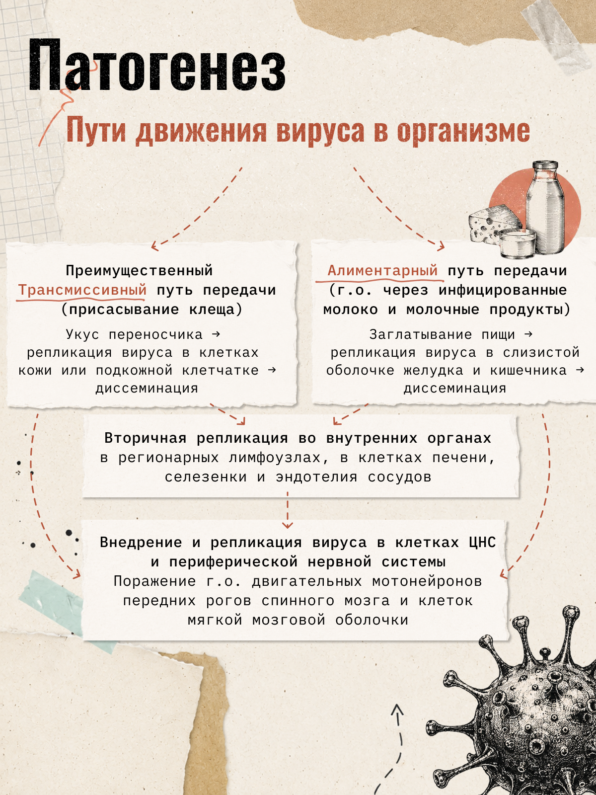 Карточка 5
