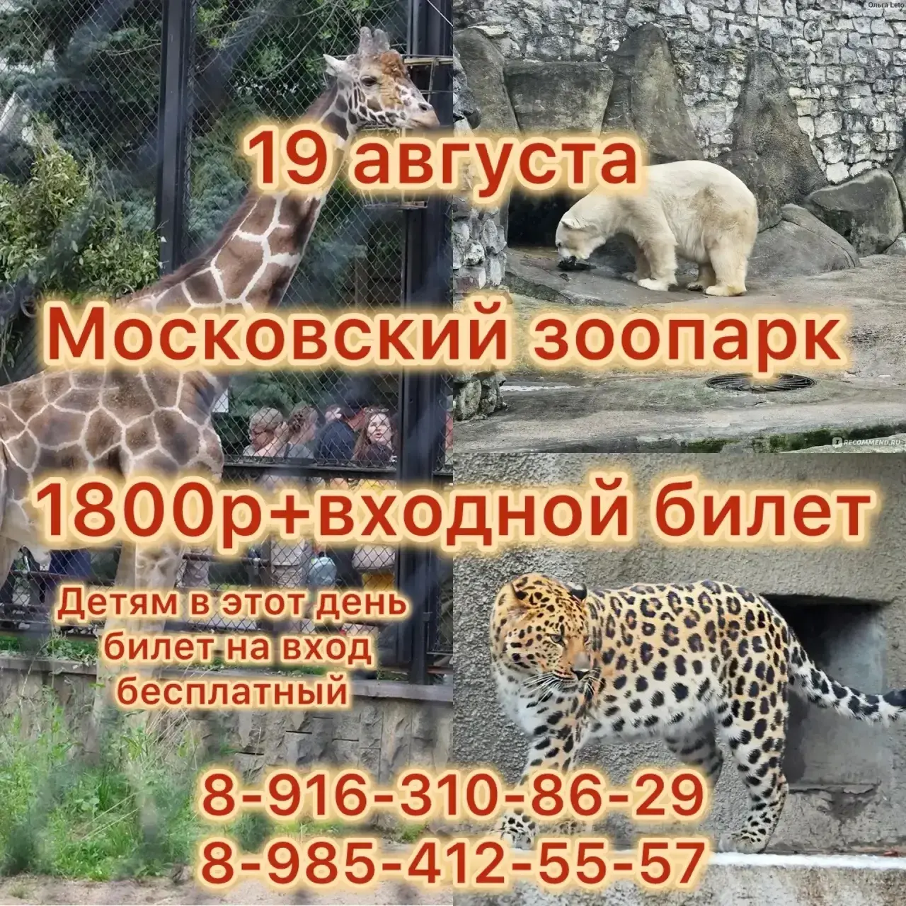 Московский зоопарк — льготный день