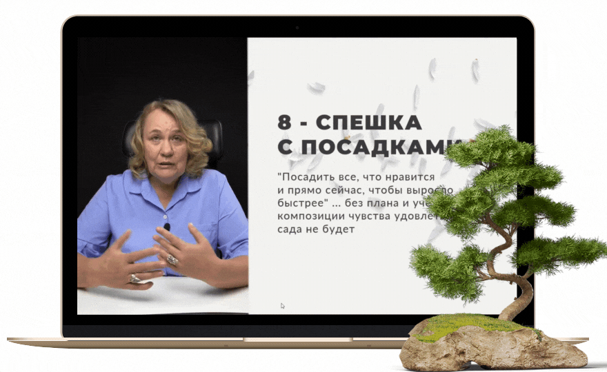 Фрагмент видеоурока курса «План участка»