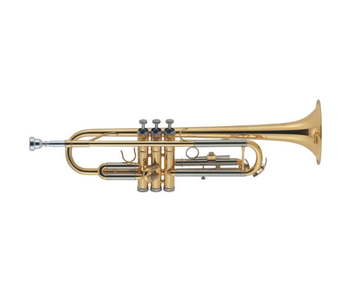 J. Michael TR-20​0 труба