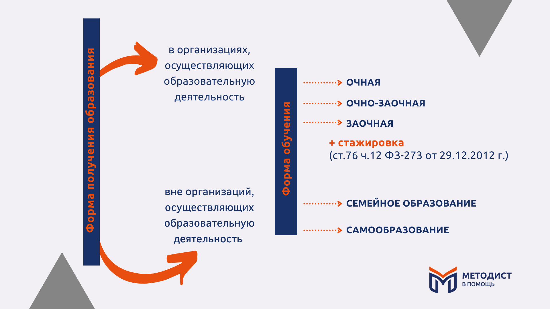 Формы обучения: какие бывают и как правильно их указывать в документах?