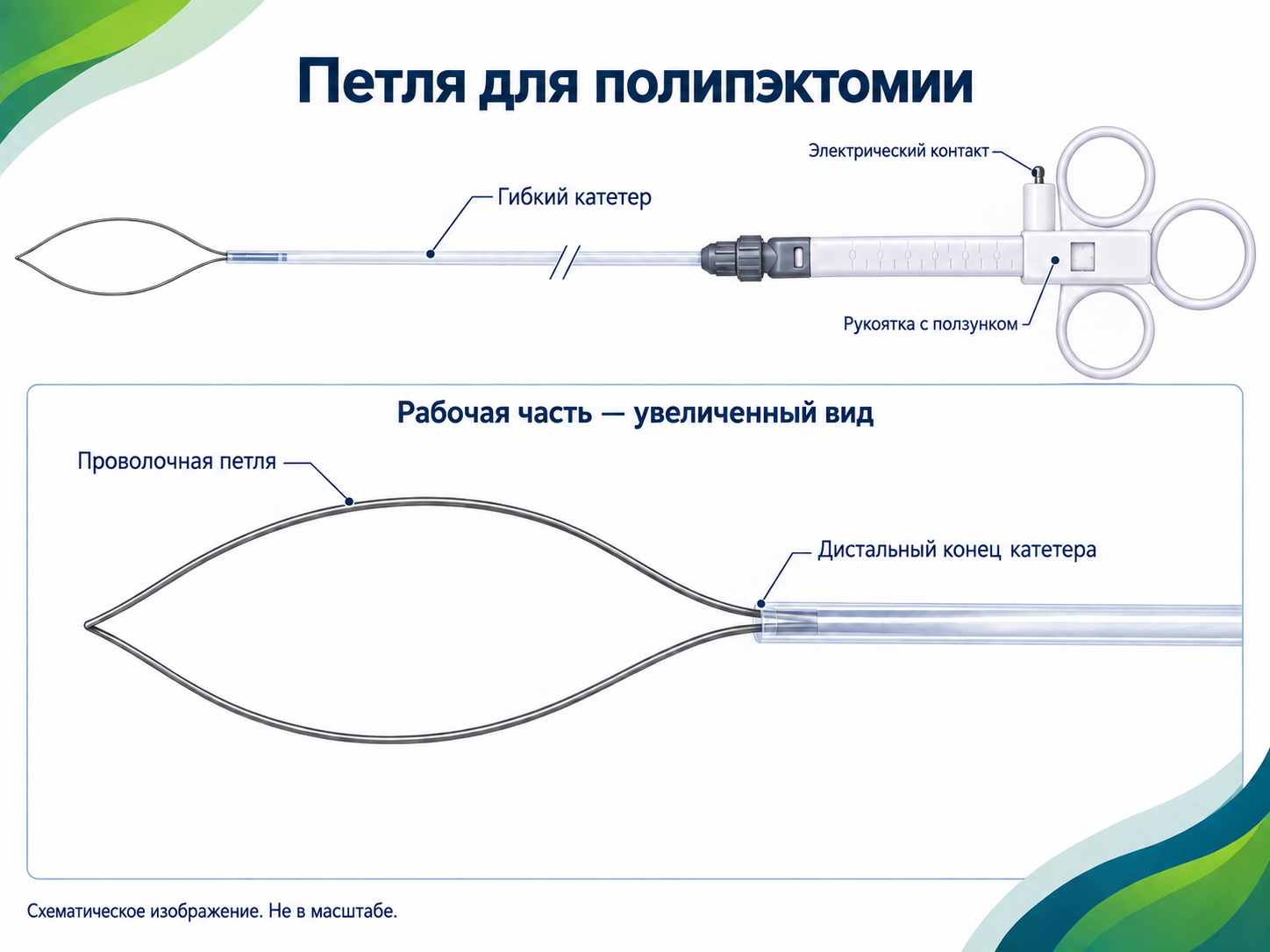 Полипэктомические петли