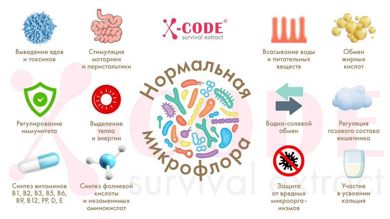 Метабиотик пробиотик пребиотик. Метабиотики список препаратов. X-code метабиотик. Метабиотики фото.