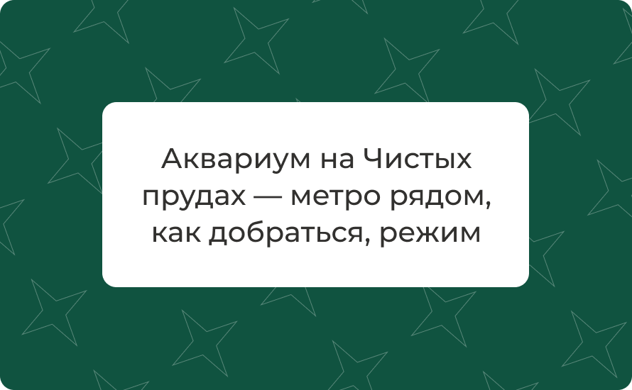 Аквариум на Чистых прудах — метро рядом, как добраться, режим