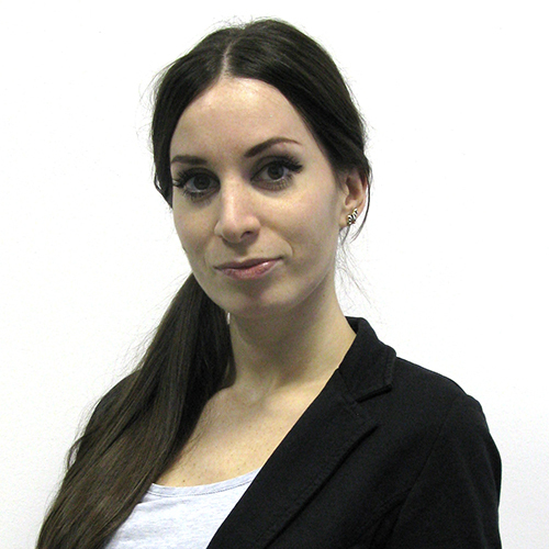 Державинский Институт