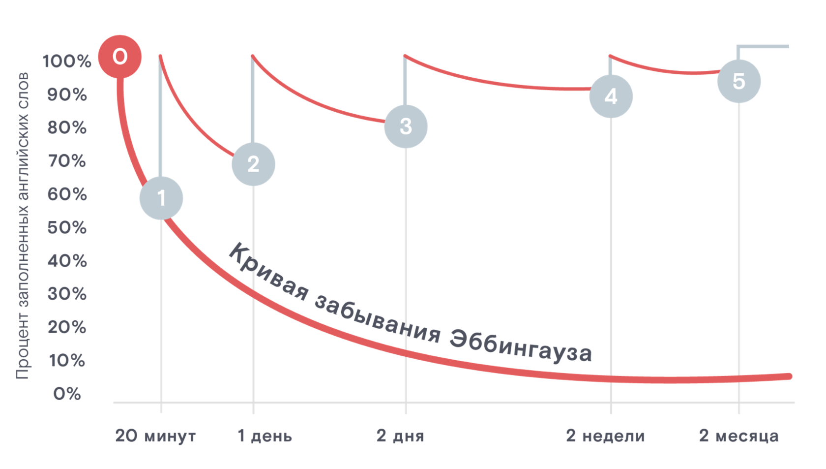 Интервальное запоминание схема