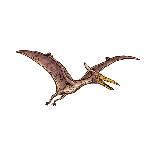 Pterosaur
