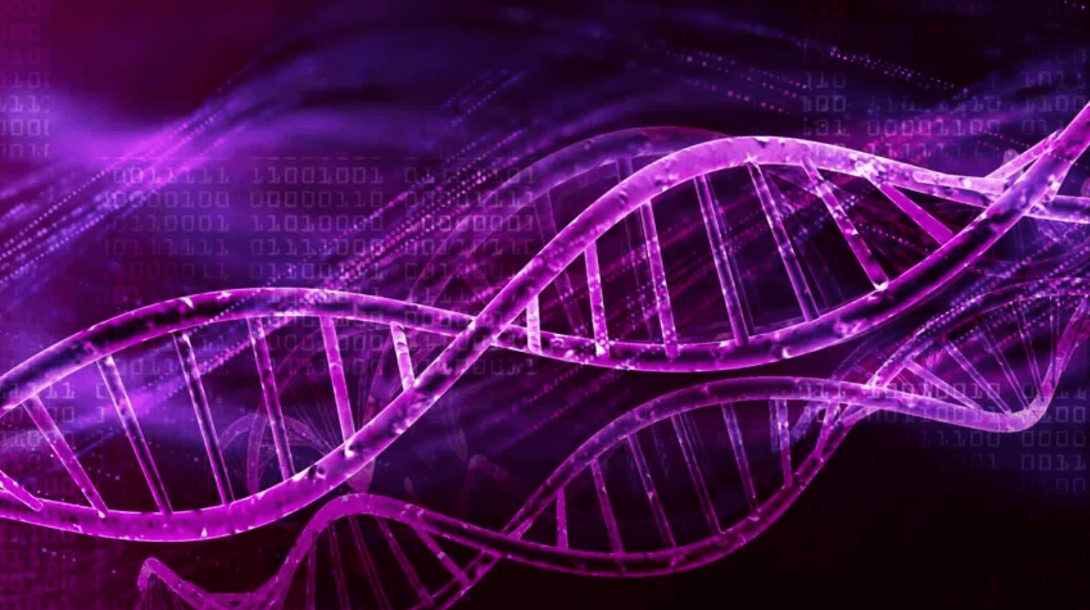 Phage m13 fuse. Stem-loop пцр. молекула днк из пластилина. Dna m. искусственная экспрессия генов.