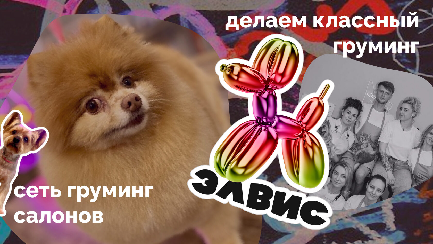 Презентации для бизнеса, сделать бизнес презентацию быстро, сделать бизнес презентацию, коммерческая презентация, бизнес план презентация, купить презентацию для бизнеса, сделать презу