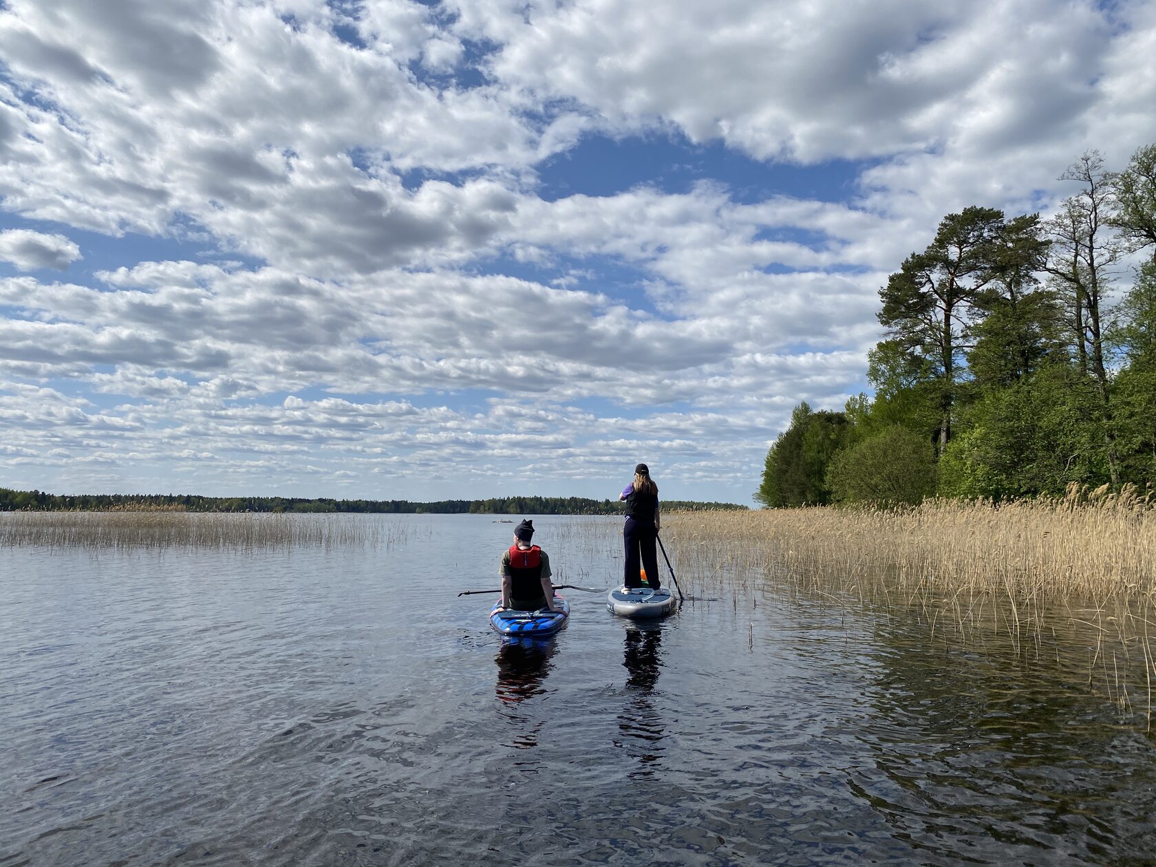 Двухдневный сплав на SUP досках по реке Луга | Supwalkspb