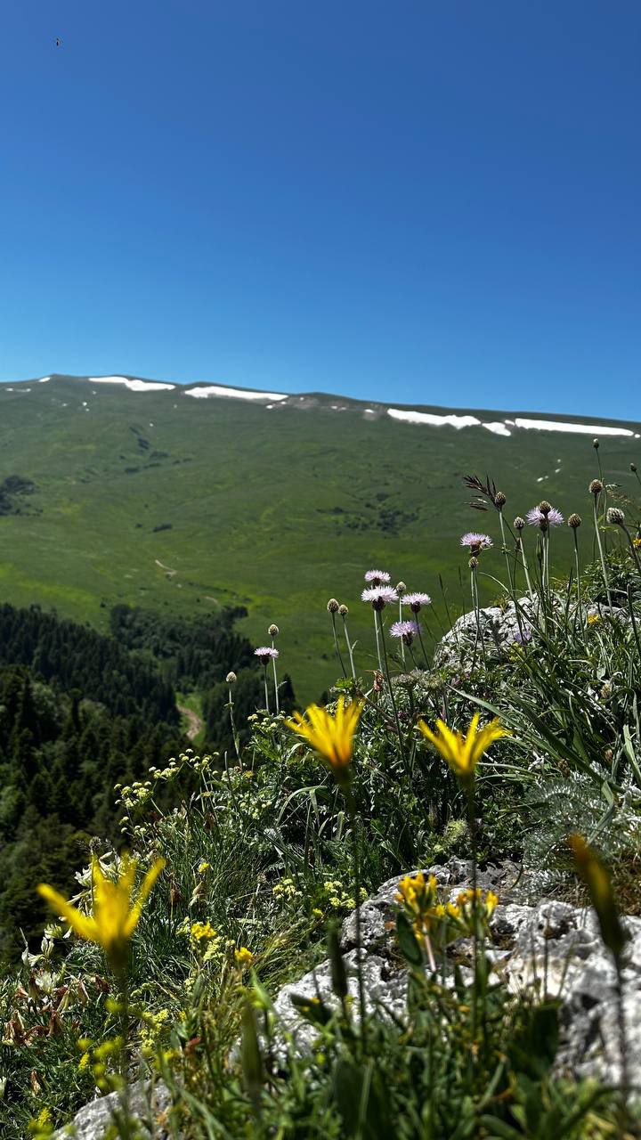 Плато Лаго-Наки