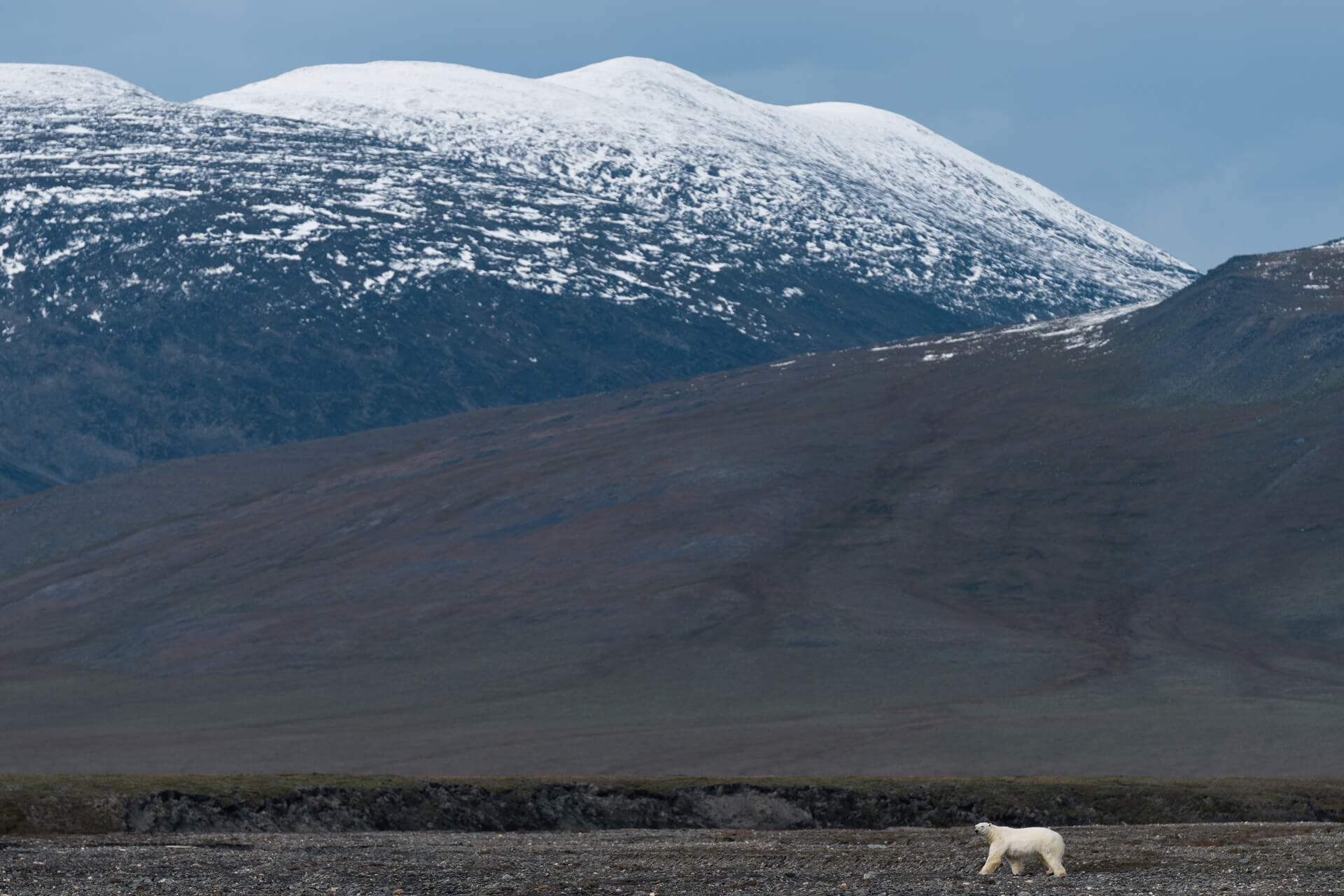 40 жастан асқан әйелдерге арналған порно Ит стиліндегі балапандар