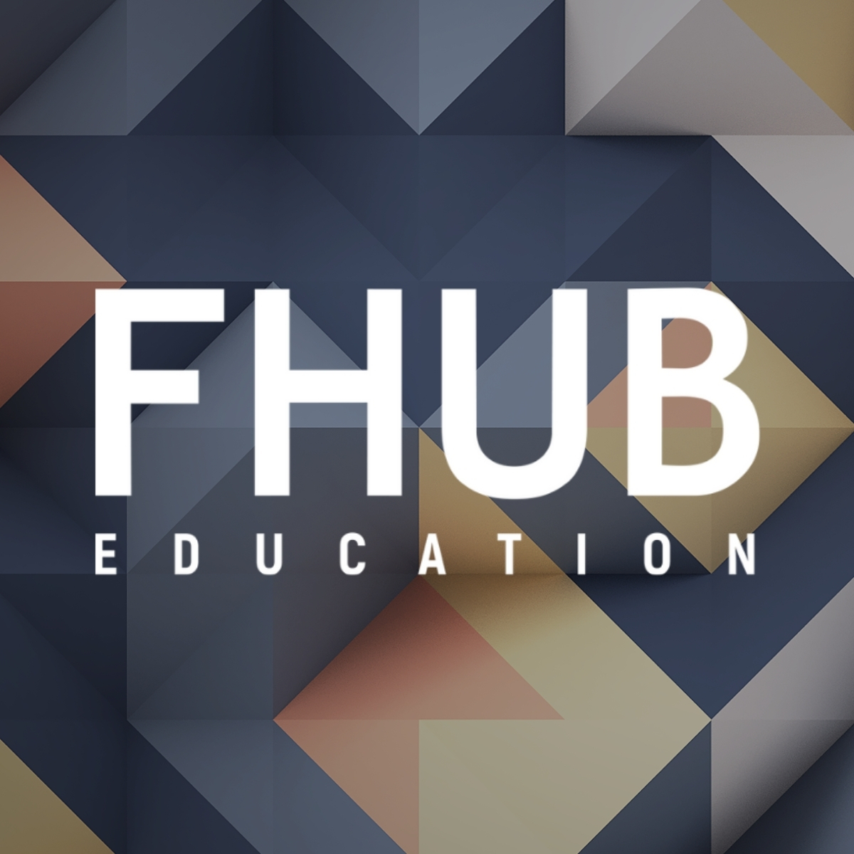 Первый международный онлайн-конгресс FHUB IVANOVO l