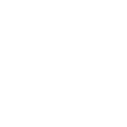 Портретная экспертиза