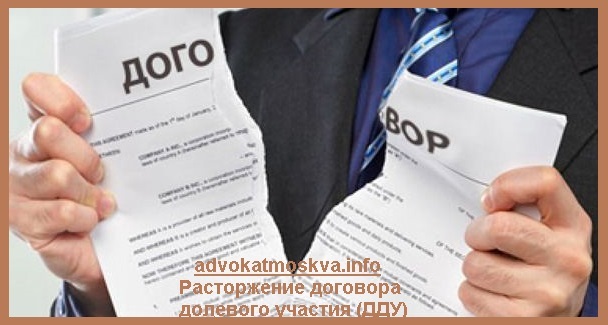Расторжение договора долевого участия (ДДУ)