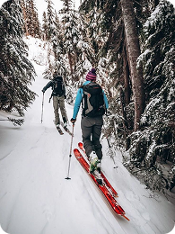 горнолыжные Трассы