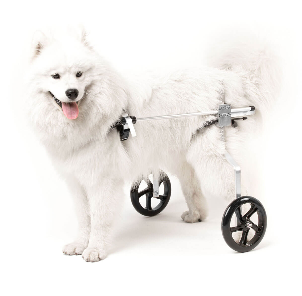 Регулируемая инвалидная коляска для собаки, кота
