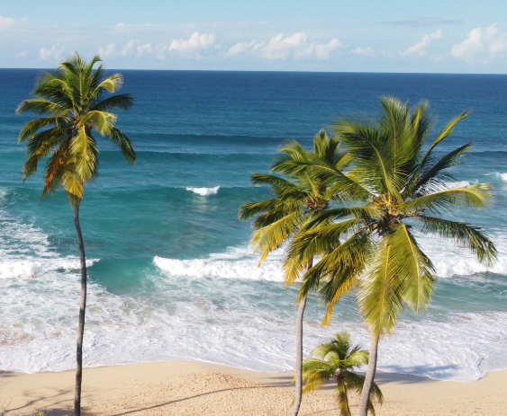 Пляж Камала на Пхукете — тихий уголок с мягким песком, зелеными холмами и расслабляющей атмосферой. Идеален для семейного отдыха и наблюдения за закатами.