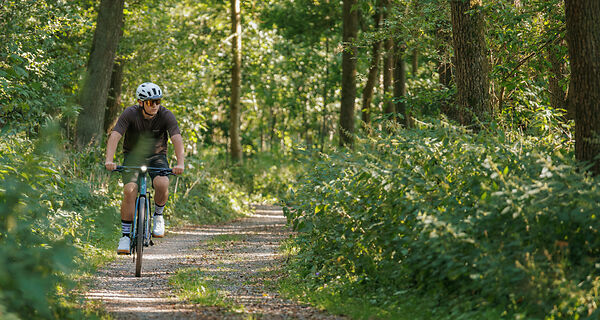 Велосипед CUBE Nulane C:62
