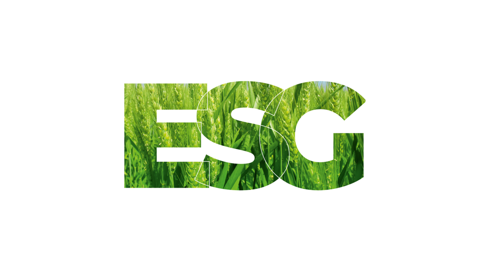 ESG логотип. ESG экология. ESG устойчивое развитие. ESG без фона.