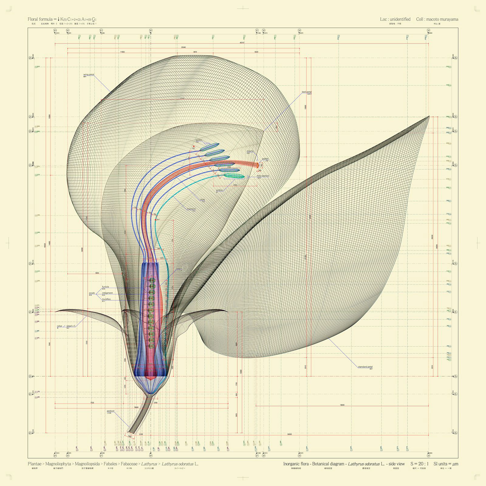 Cm 2011. Fusion 360 Tree.