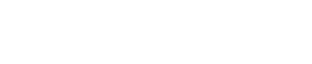 https://pion.design/