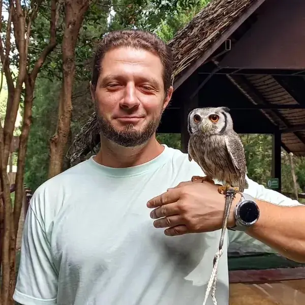 Сова сидит на руке мужчины