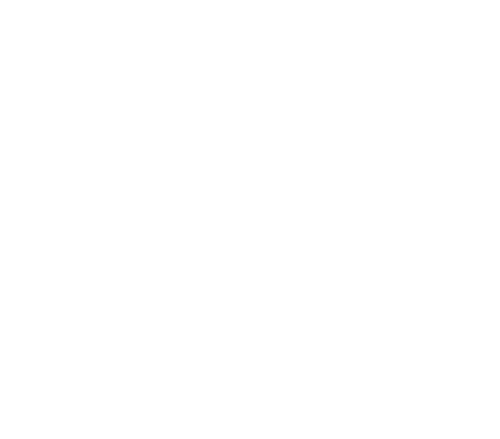 Лидер Строй