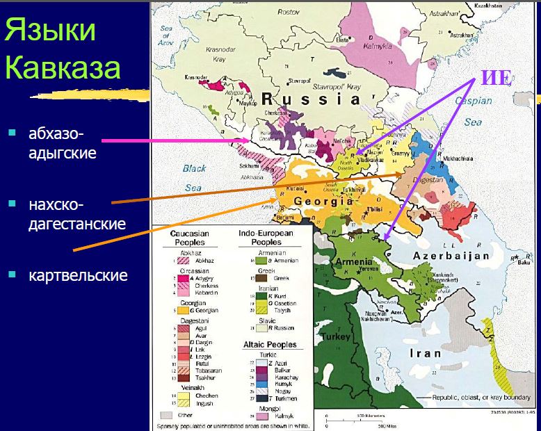 К какой семье относится дагестан. Языковая карта Северного Кавказа. Абхазо-адыгские языки карта. Языковая карта народов Кавказа. Языковые семьи Кавказа карта.