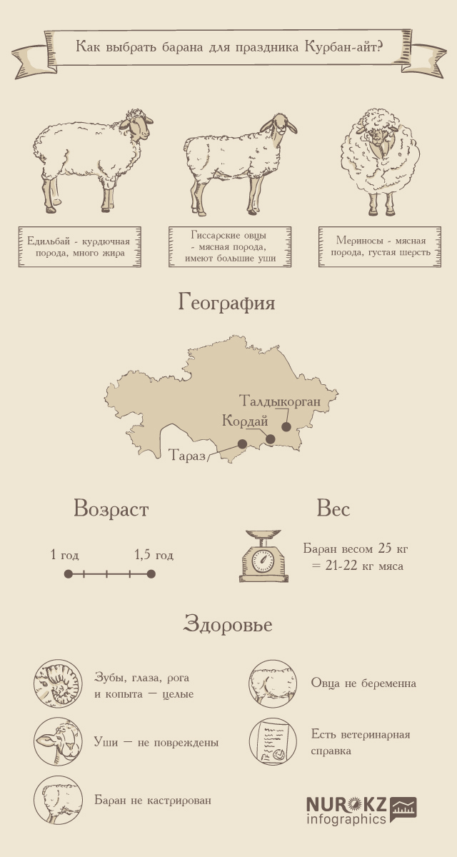 Баран схема