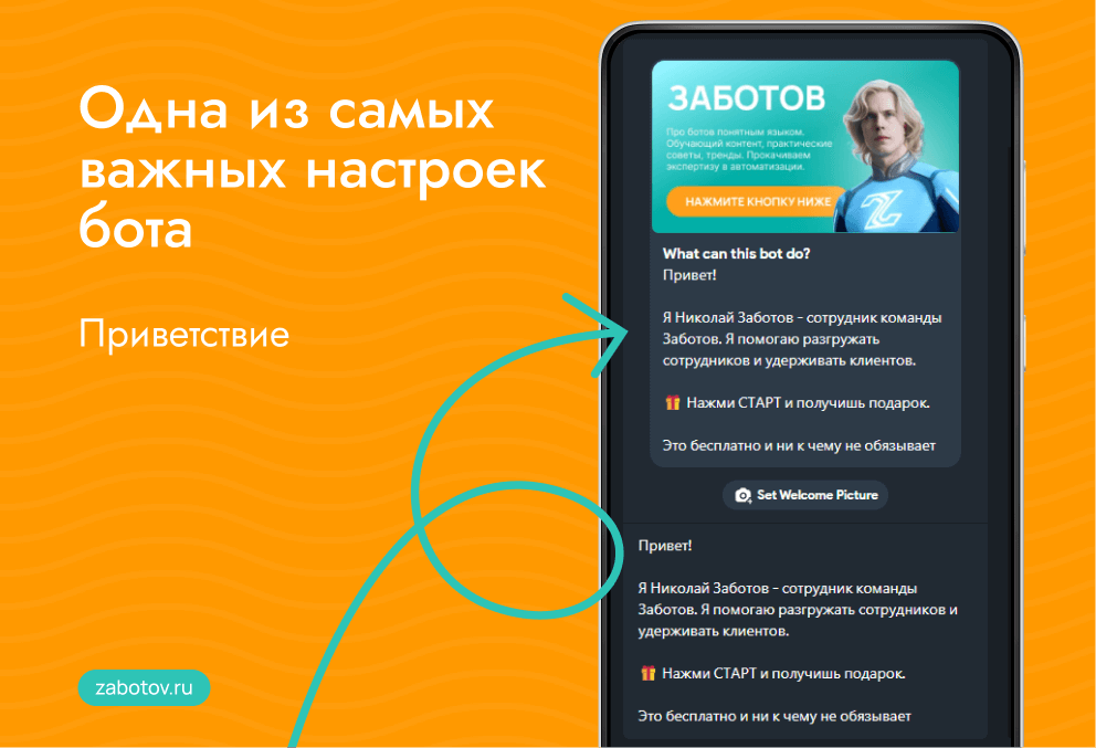Приветственное сообщение бота и картинка