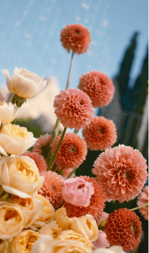 Neponaroshky-wedding-svadba-krym