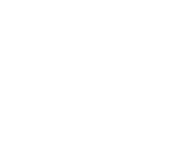 SHIELD CAPITAL ADVISORY