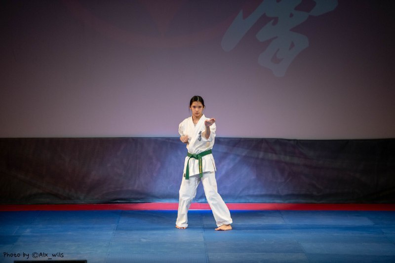 Sanchin-dachi (Санчин-дачи)