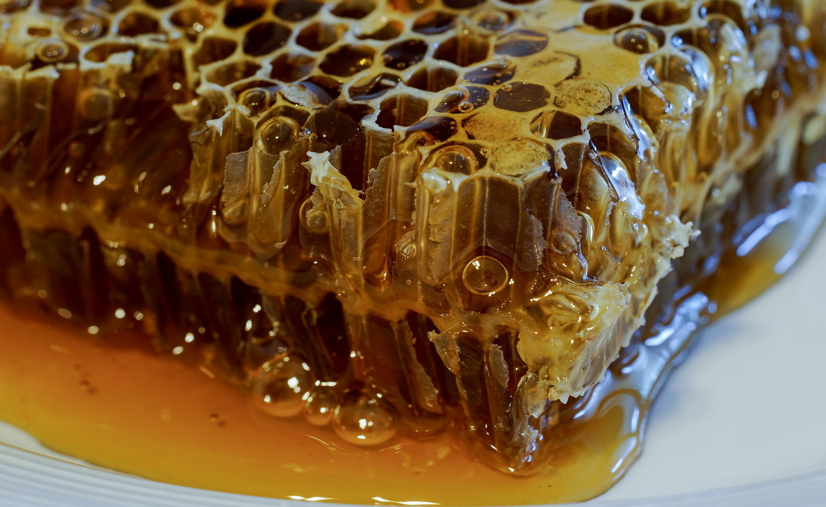 Пчелиные соты с медом