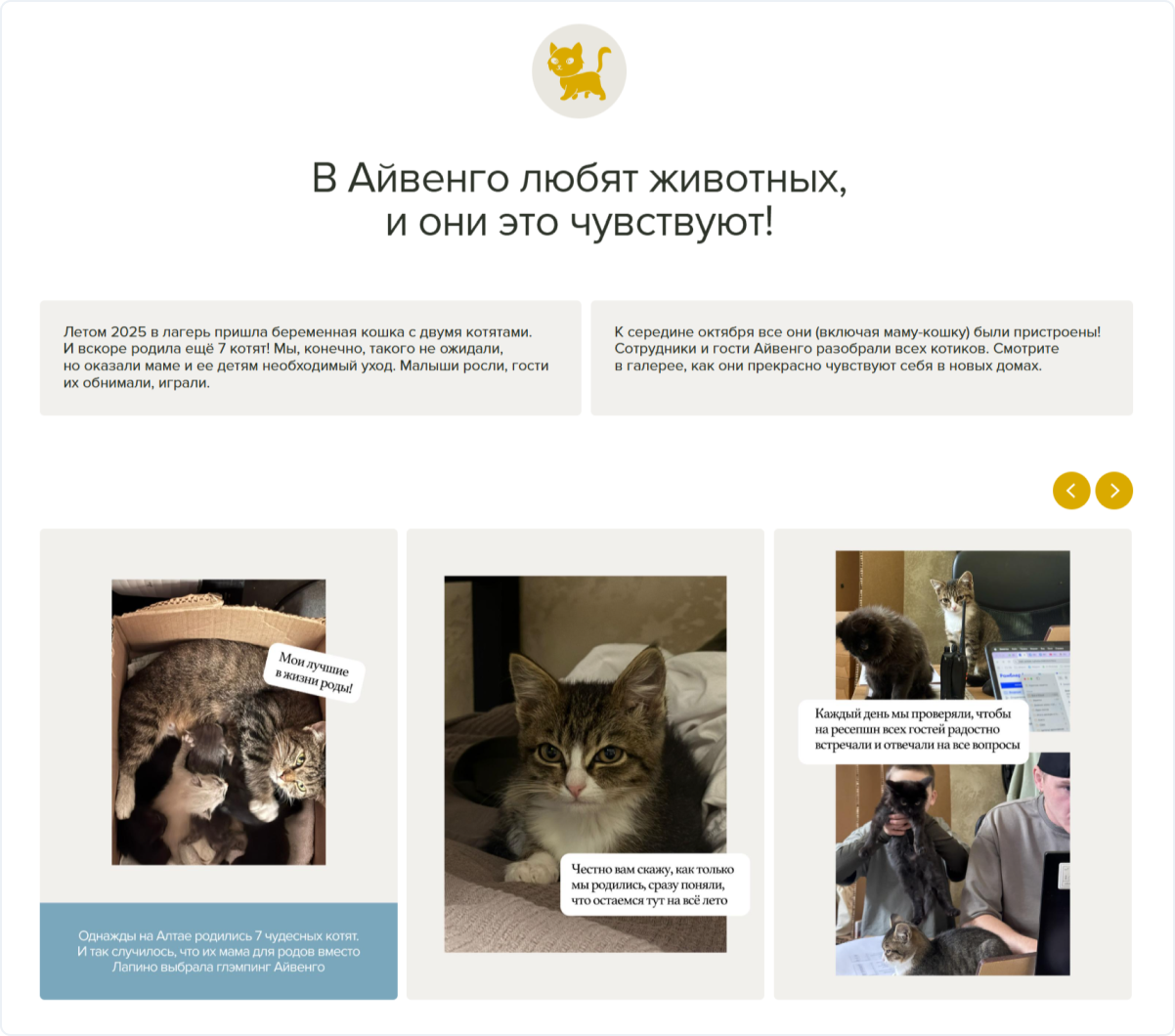 История, демонстрирующая отношение отеля к животными на сайте «Айвенго»